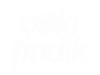 Çakı Fındık ana sayfası
